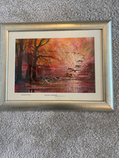 Delamere forest cheshire for sale  MACCLESFIELD