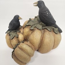 Pumpkins black crows for sale  Dayton
