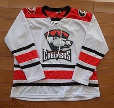 Amg charlotte checkers for sale  Lancaster