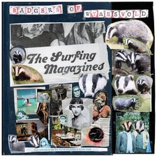 Surfing magazines badgers for sale  UK