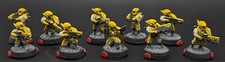 tau pro painted for sale  San Diego