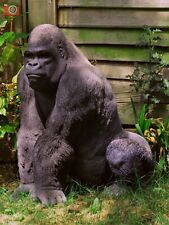 Large silverback gorilla for sale  KETTERING
