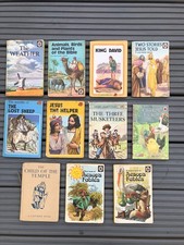 Rare vintage ladybird for sale  CHESTER LE STREET