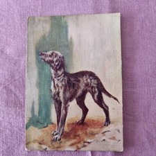 Postcard deerhound unposted for sale  TONBRIDGE