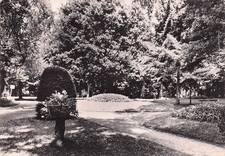 Chauny jardin public d'occasion  Expédié en Belgium