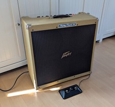 Peavey classic 4x10 gebraucht kaufen  Spalt