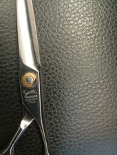 77575 jaguar venus gebraucht kaufen 77575 jaguar venus gebraucht kaufen  Köln