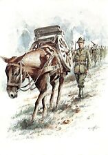 D2420 cartoline militari usato  Lugo