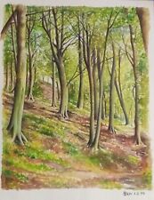 Original gouache watercolour for sale  DARLINGTON