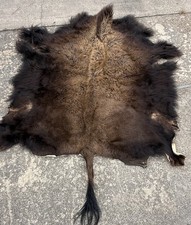 Buffalo bison hide for sale  Houston