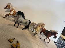 Grand champion horses for sale  Terre Haute