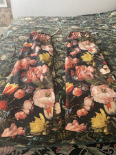 Big tulips rijsk for sale  ST. LEONARDS-ON-SEA