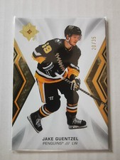 Jake guentzel 2021 gebraucht kaufen  Plauen