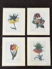 botanical art set 4 for sale botanical art set 4 for sale Bellingham