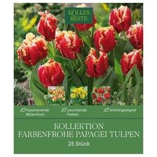 Kollektion farbenfrohe papagei gebraucht kaufen  Deutschland