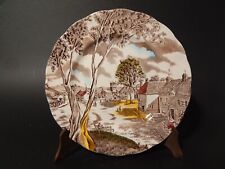 Vintage piatto ceramica usato Vintage piatto ceramica usato  Torre Canavese