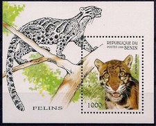 Benin 1996 gatti usato  Italia