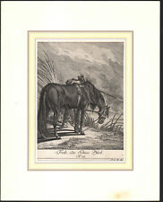 1753 gravure originale d'occasion  Besançon