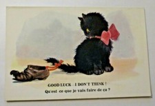 Fantasía Gato Humorístico Good Luck I Don'T Think comprar usado  Enviando para Brazil