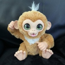 Singe zandi furreal d'occasion  Calais