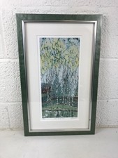 silver birch for sale silver birch for sale EXETER