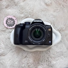 Olympus 520 digital for sale  Hopkins
