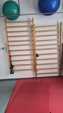 Sprossenwand kletterwand turnw gebraucht kaufen Sprossenwand kletterwand turnw gebraucht kaufen  Zeitz