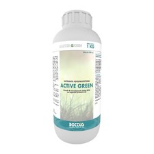 Bottos active green usato  Muro Lucano