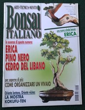 Rivista bonsai italiano usato  Venezia