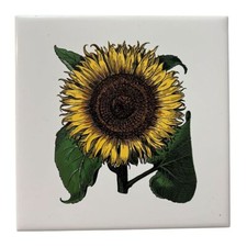 Decorative ceramic sunflower for sale  Whiting