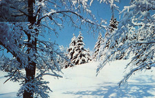 Winter snow scene for sale  Henderson