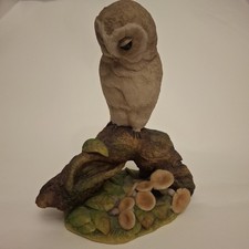 Teviotdale owl branch for sale Teviotdale owl branch for sale  CHESTER