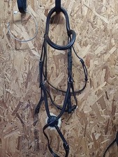 English leather grackle for sale  HARLOW