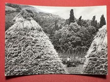 Cartolina monasterolo 1976 usato  Vimodrone