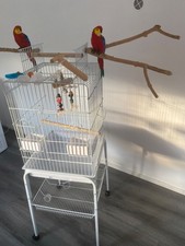 Parrot cage accessories for sale  COVENTRY