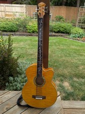 Michael kelly dragonfly for sale  Salem