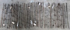 Lot antique patented for sale  Mountain View