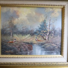 Jagd fasan moorlandschaft gebraucht kaufen  Weißenburg i.Bay.