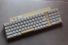 Tastiera apple iigs usato  Termoli