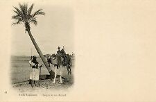 Postcard carte postale d'occasion  Toulon-