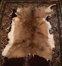 Deer hide taxidermy for sale  Pittsburg