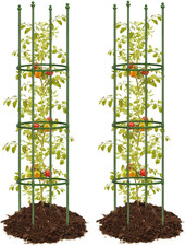 Joyhalo pack tomato for sale  New York
