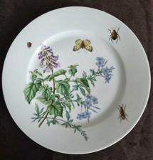 Rare assiette porcelaine d'occasion  Angoulême