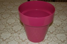 Teraplast vaso peonia usato  Napoli