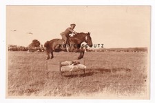 Alte foto reitsport gebraucht kaufen  Berlin