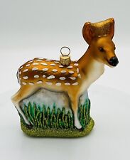 Whitetail deer fawn for sale  Menlo Park