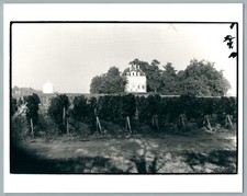 1980 medoc chateau d'occasion  Viry-Châtillon