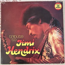 Vintage vinyl tribute usato  Meran