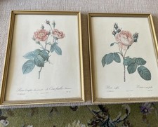Vtg p.j. redouté for sale  TONBRIDGE