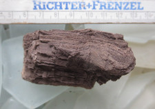 Fossiles verkieseltes holz gebraucht kaufen  Eschwege